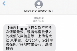 类乌齐债务清欠服务